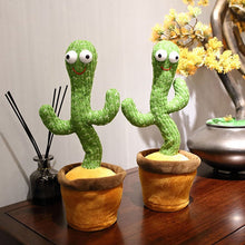 Load image into Gallery viewer, THE MOST INTERESTING CACTUS
