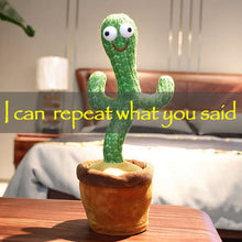 Load image into Gallery viewer, THE MOST INTERESTING CACTUS
